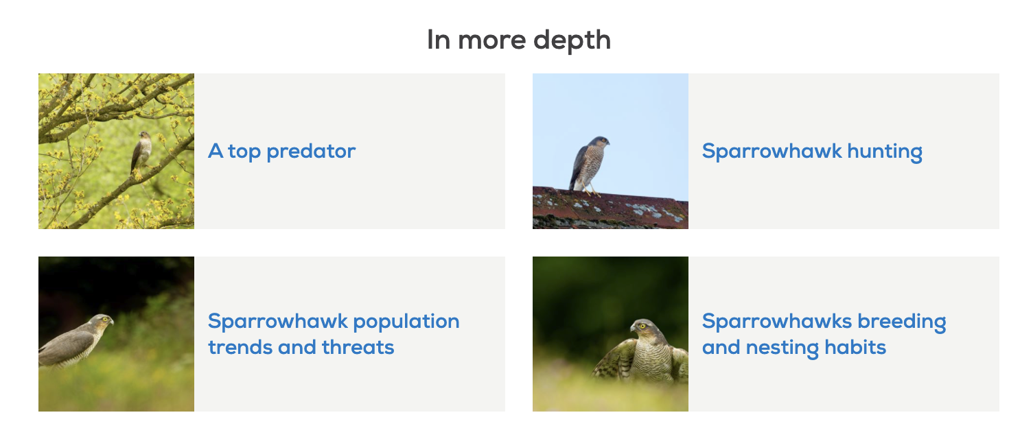 Screenshot of RSPB content
