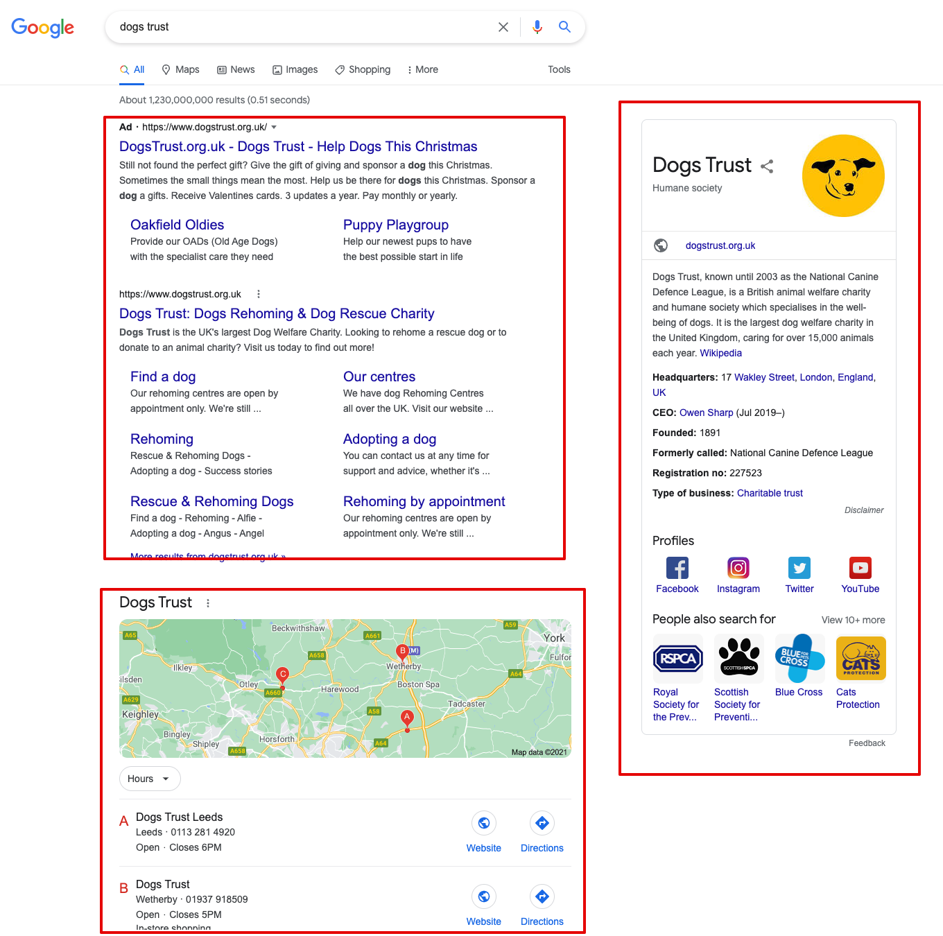 Screenshot showing Google SERP for the term "dog's trust"