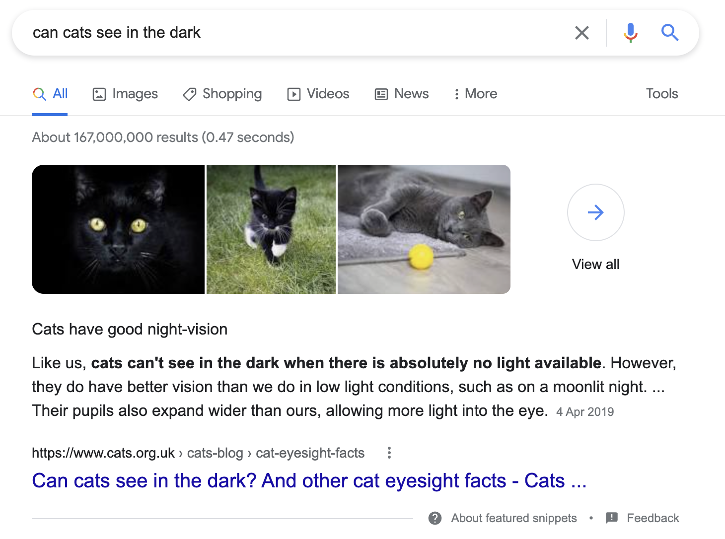 Screenshot of Google SERP for the user search "Can cats see in the dark?"